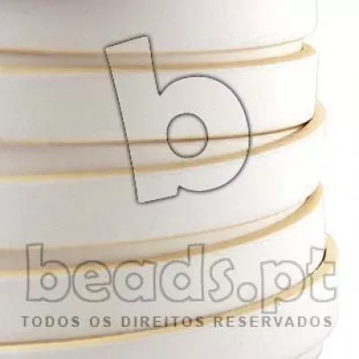 AICP10M11
