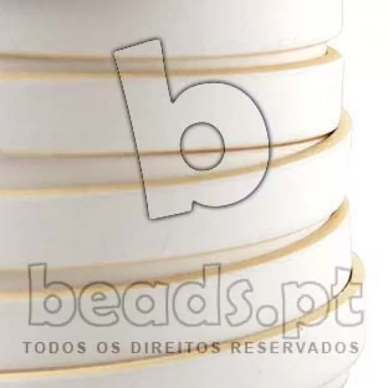 AICP10M11